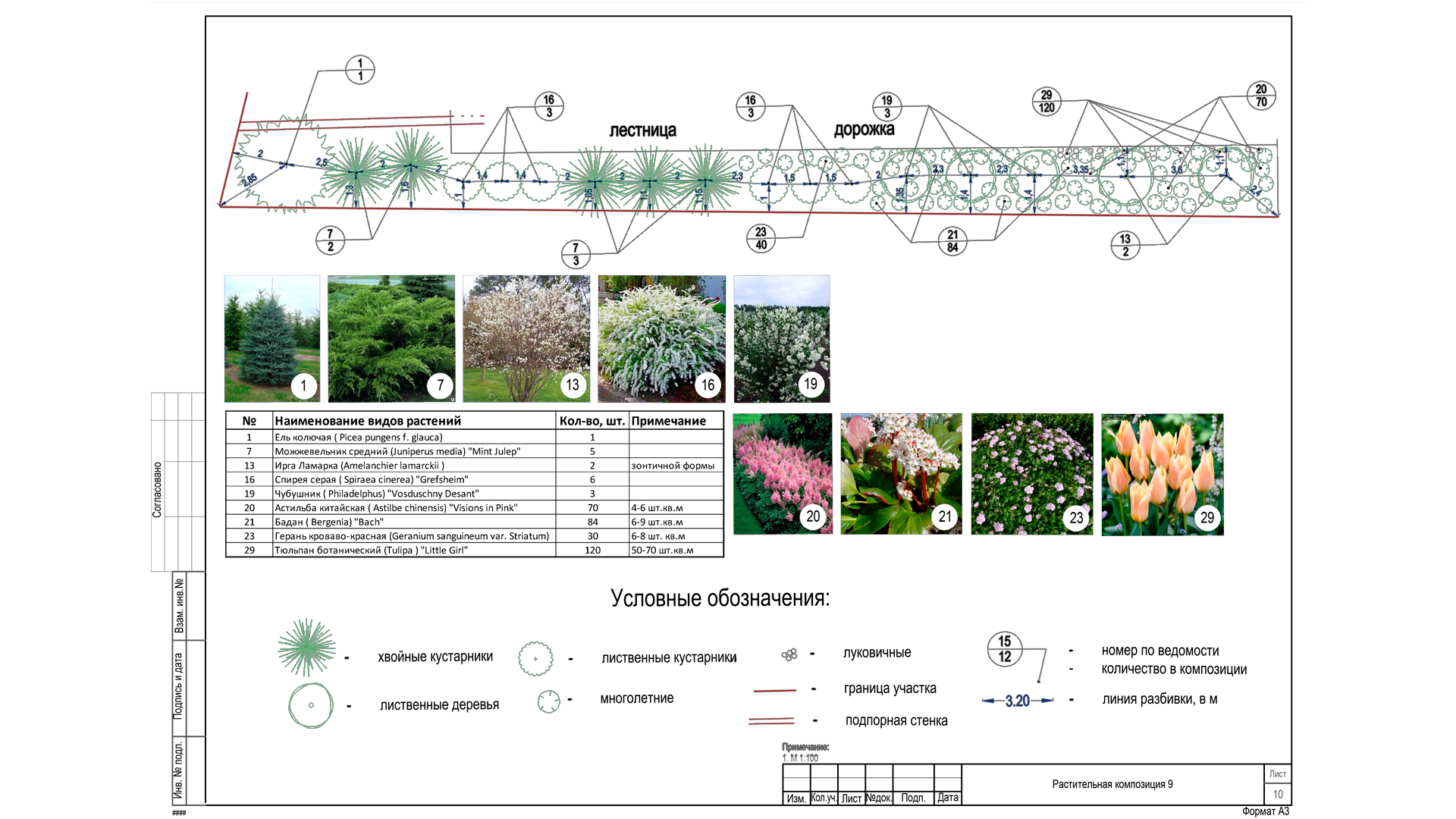 Изображение галереи 7