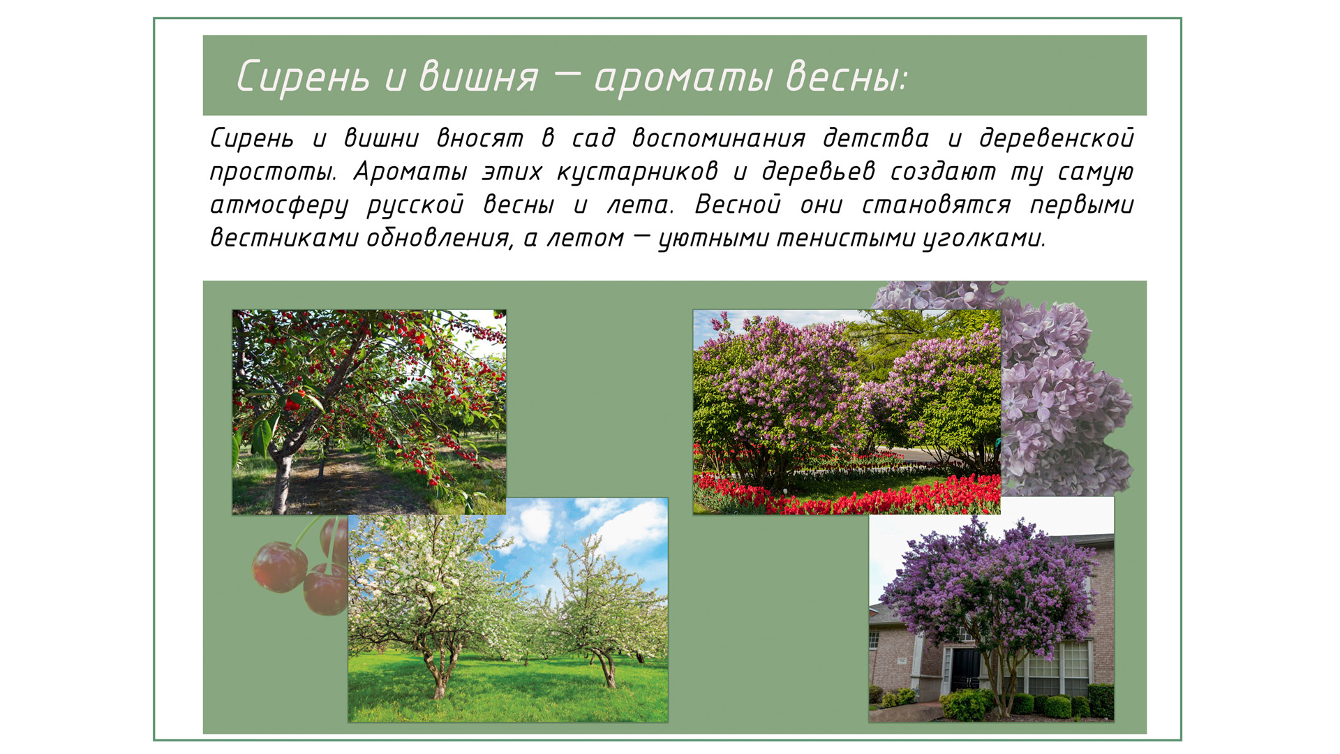 Изображение галереи 4