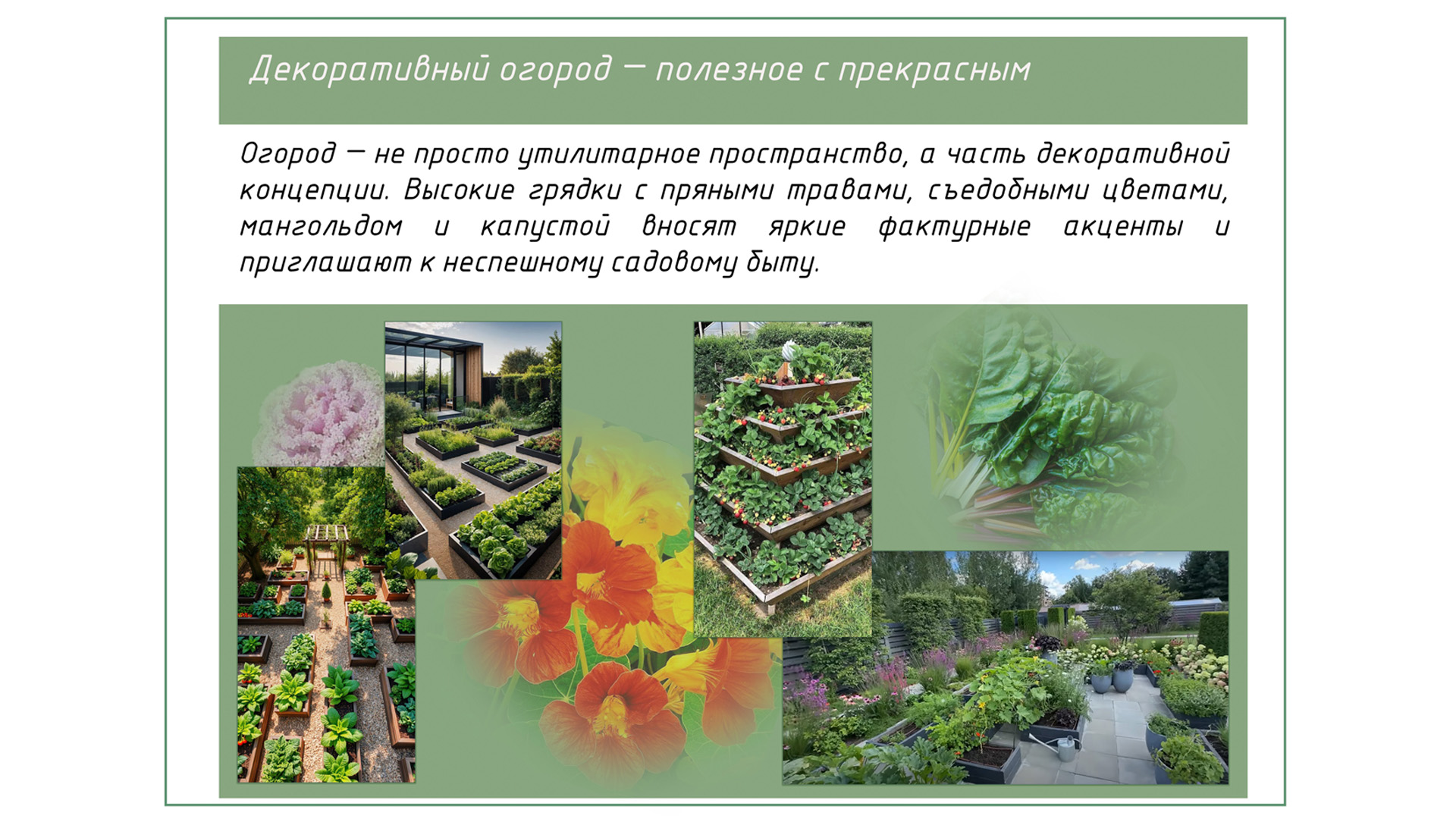 Изображение галереи 1