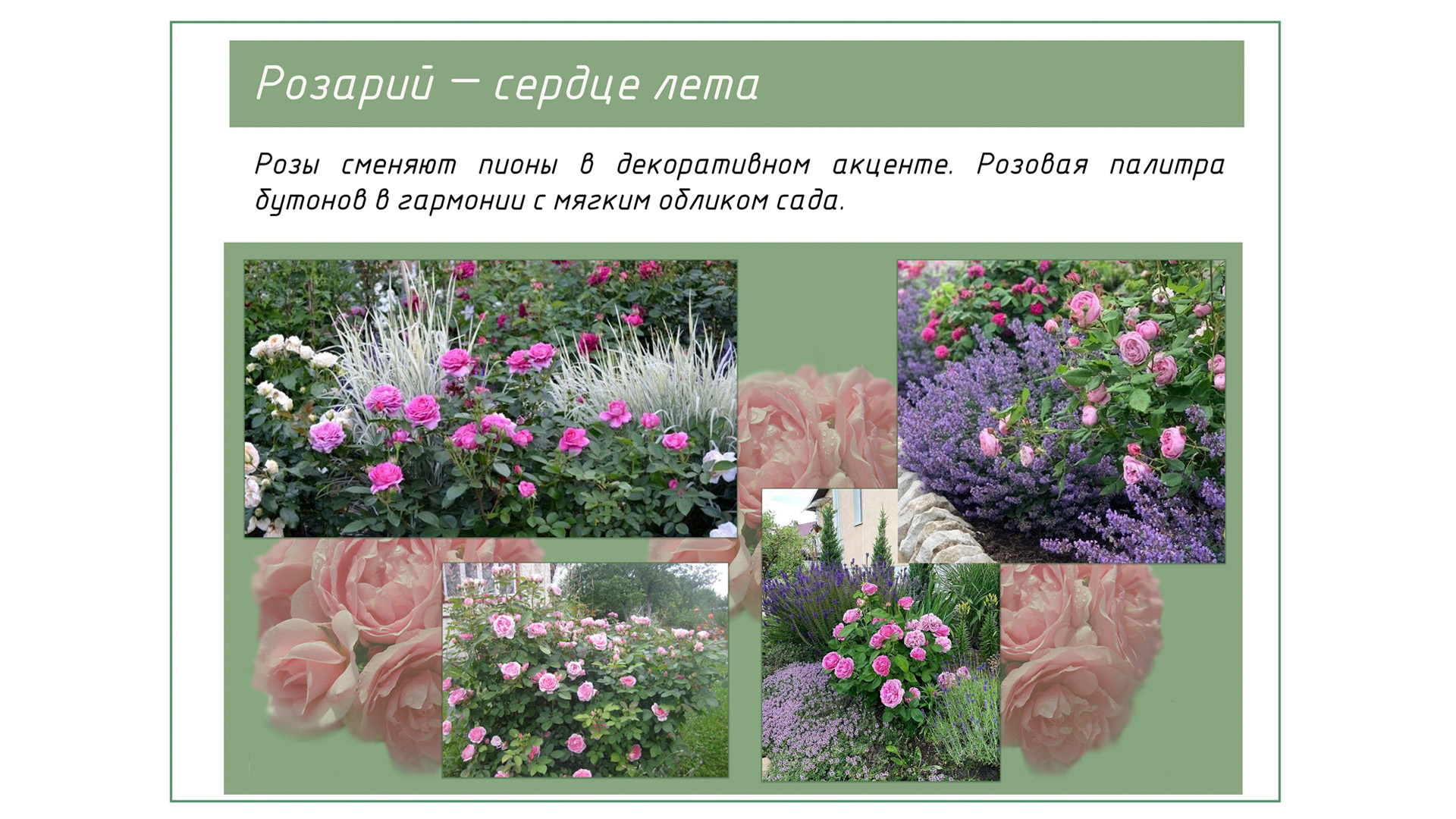 Изображение галереи 1