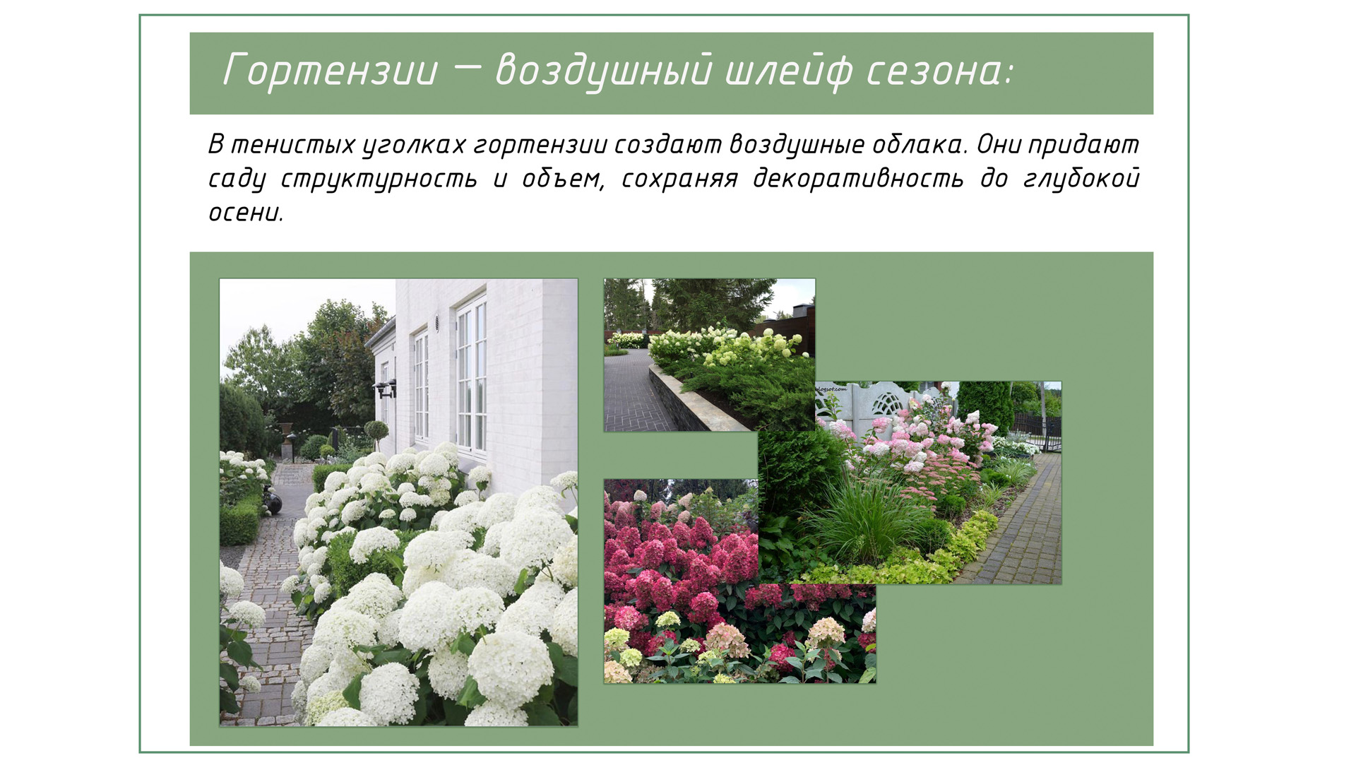 Изображение галереи 1