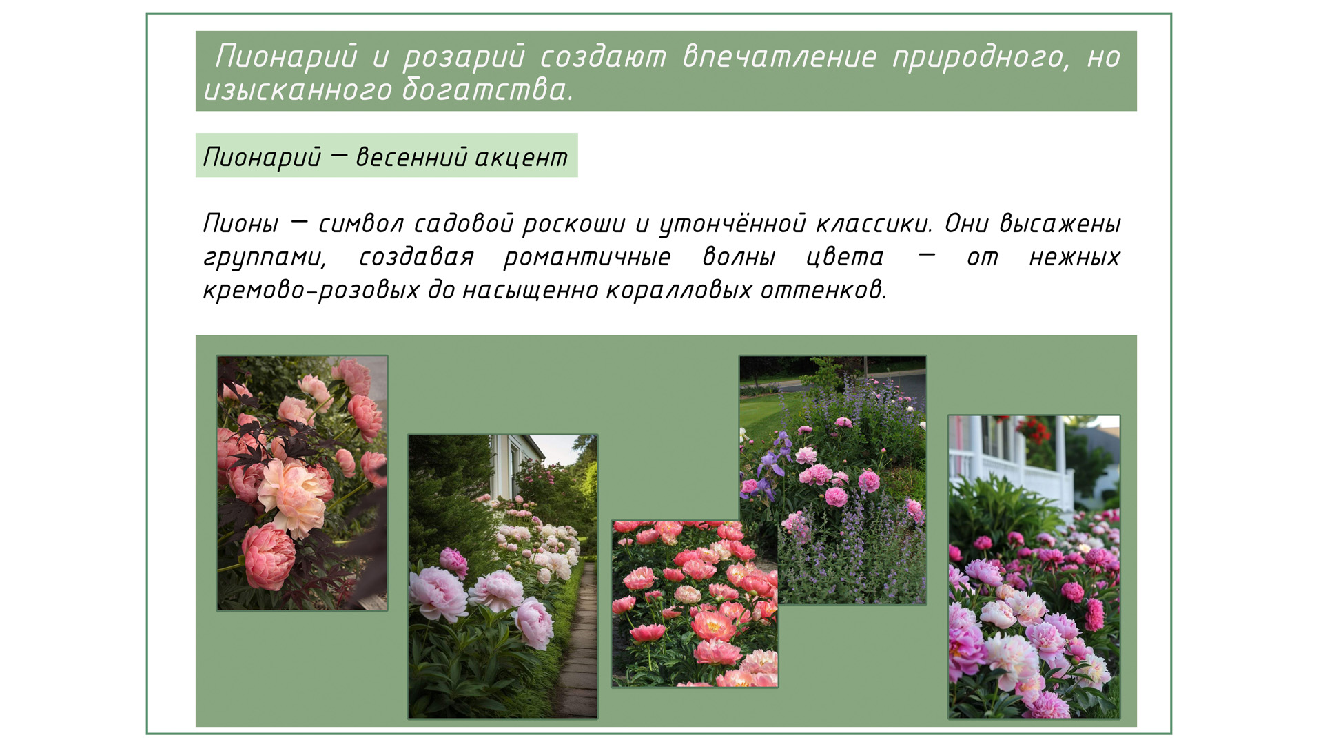 Изображение галереи 1