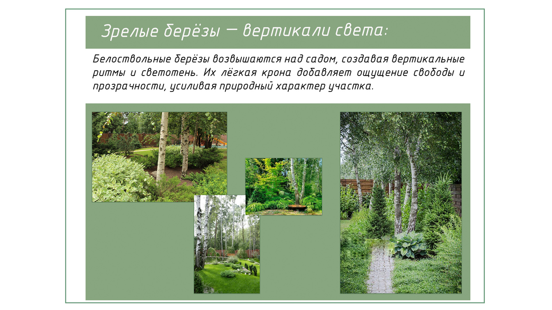 Изображение галереи 3