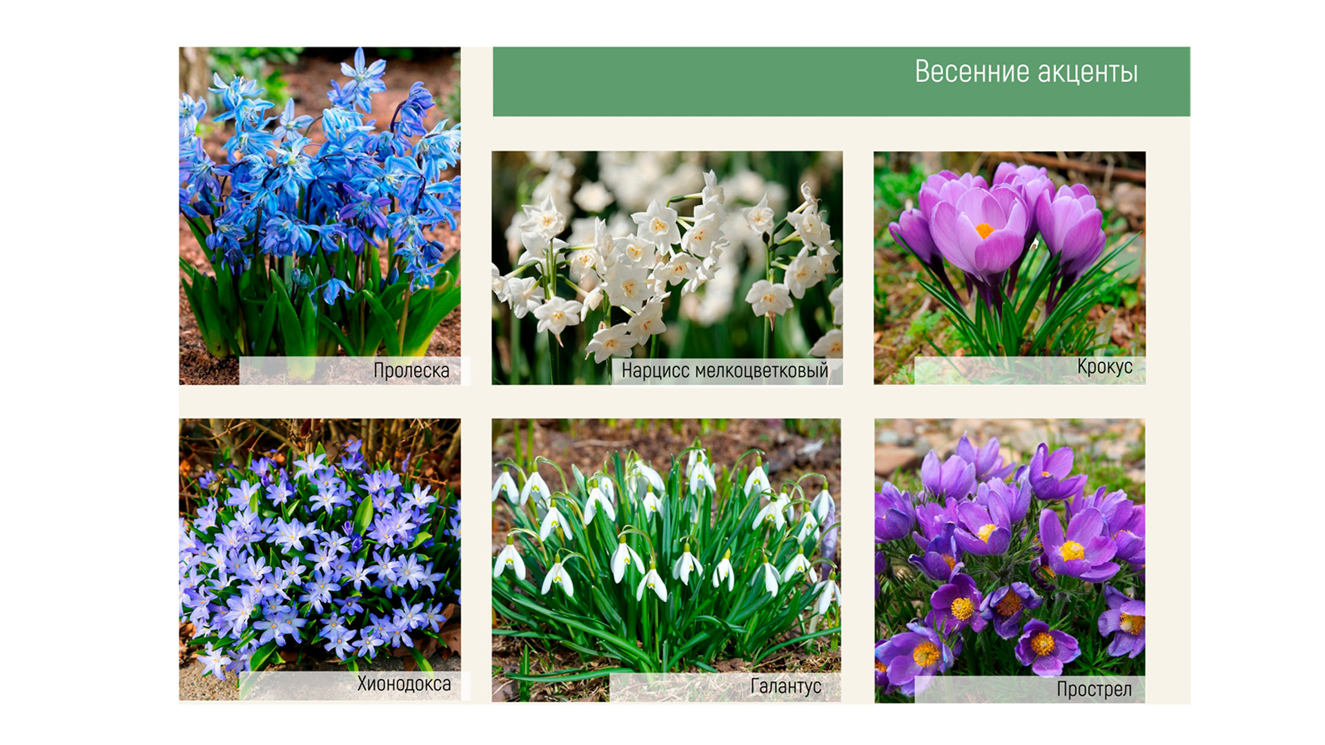 Изображение галереи 2