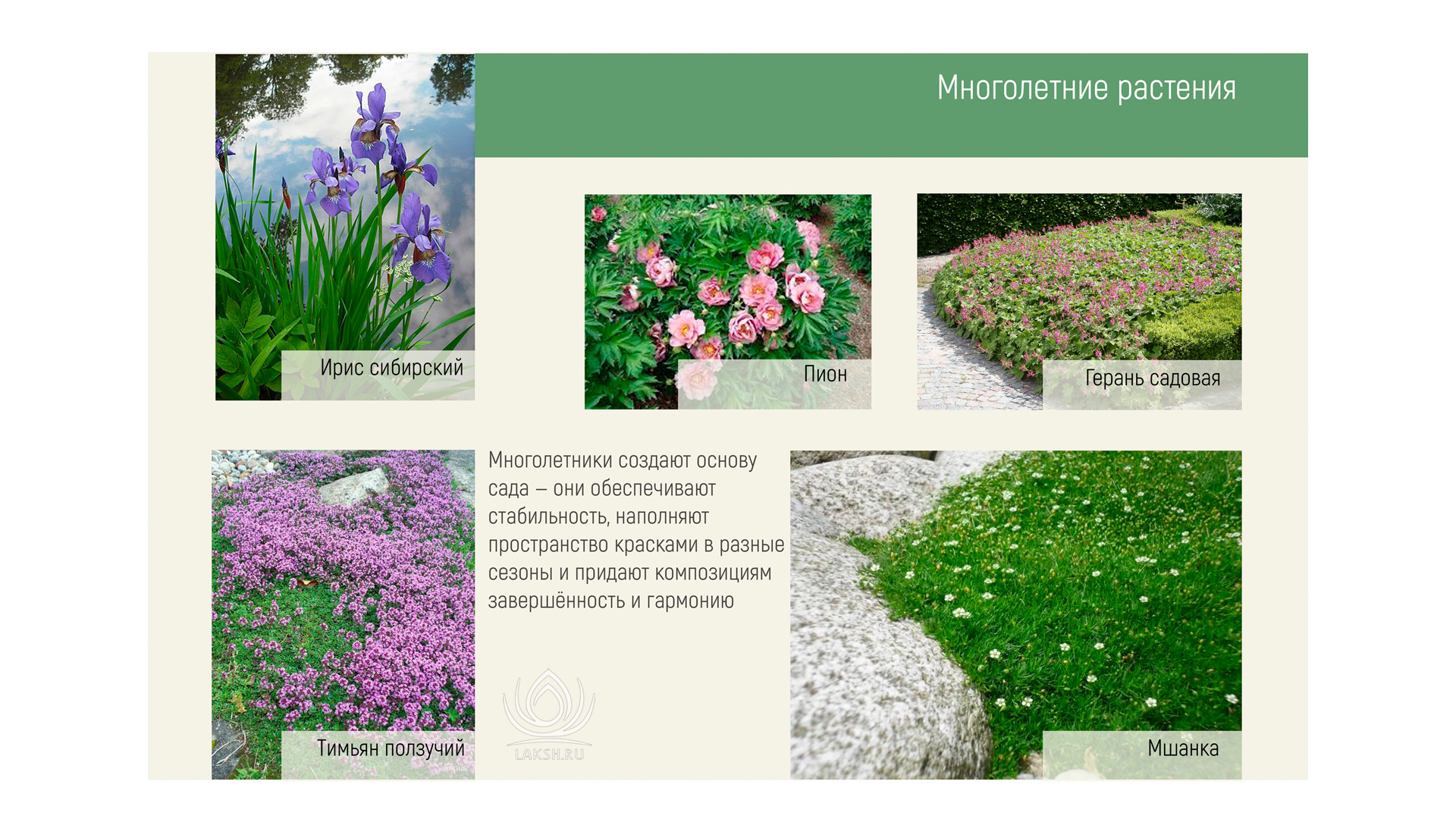 Изображение галереи 3