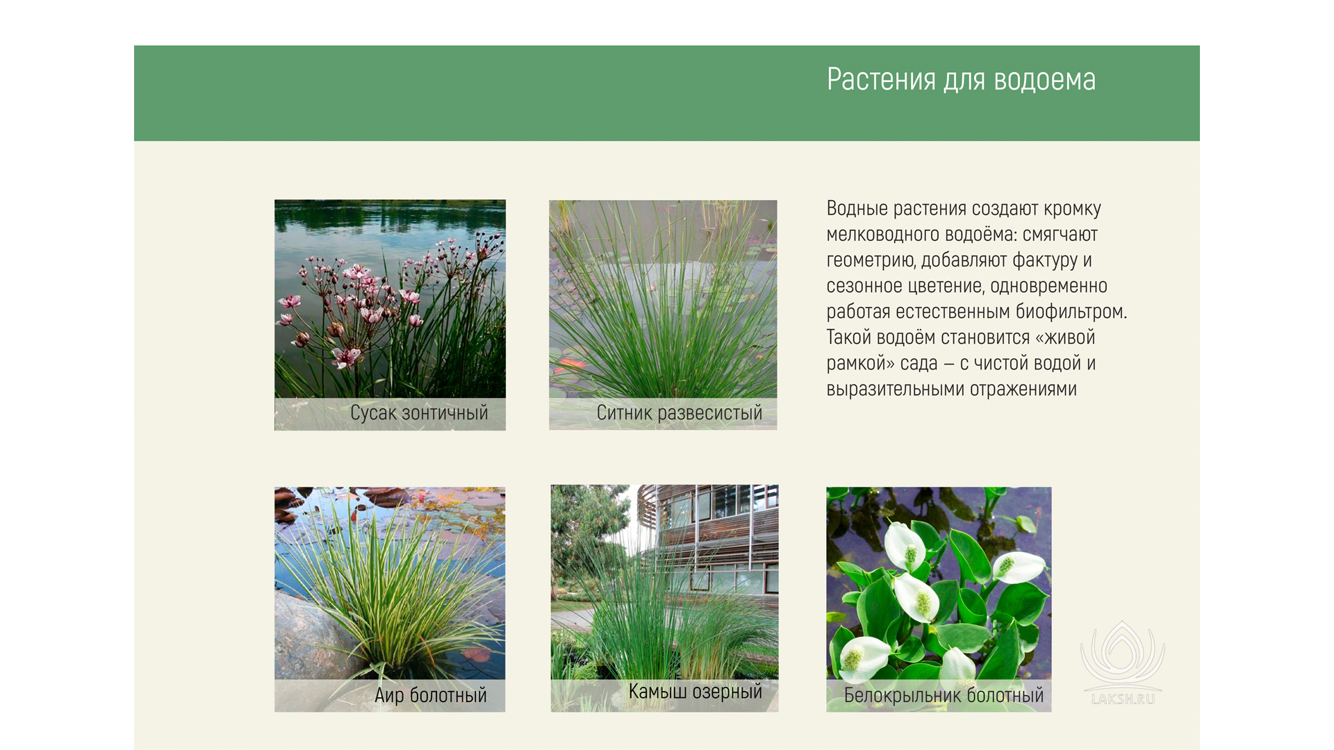 Изображение галереи 4