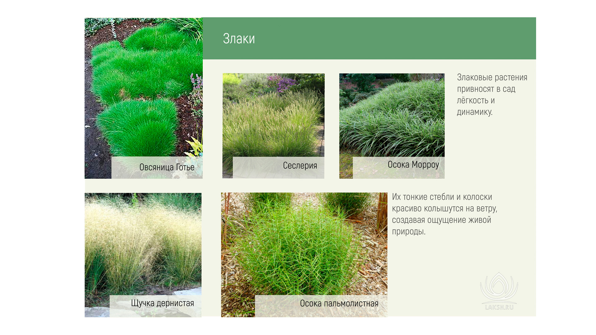 Изображение галереи 1