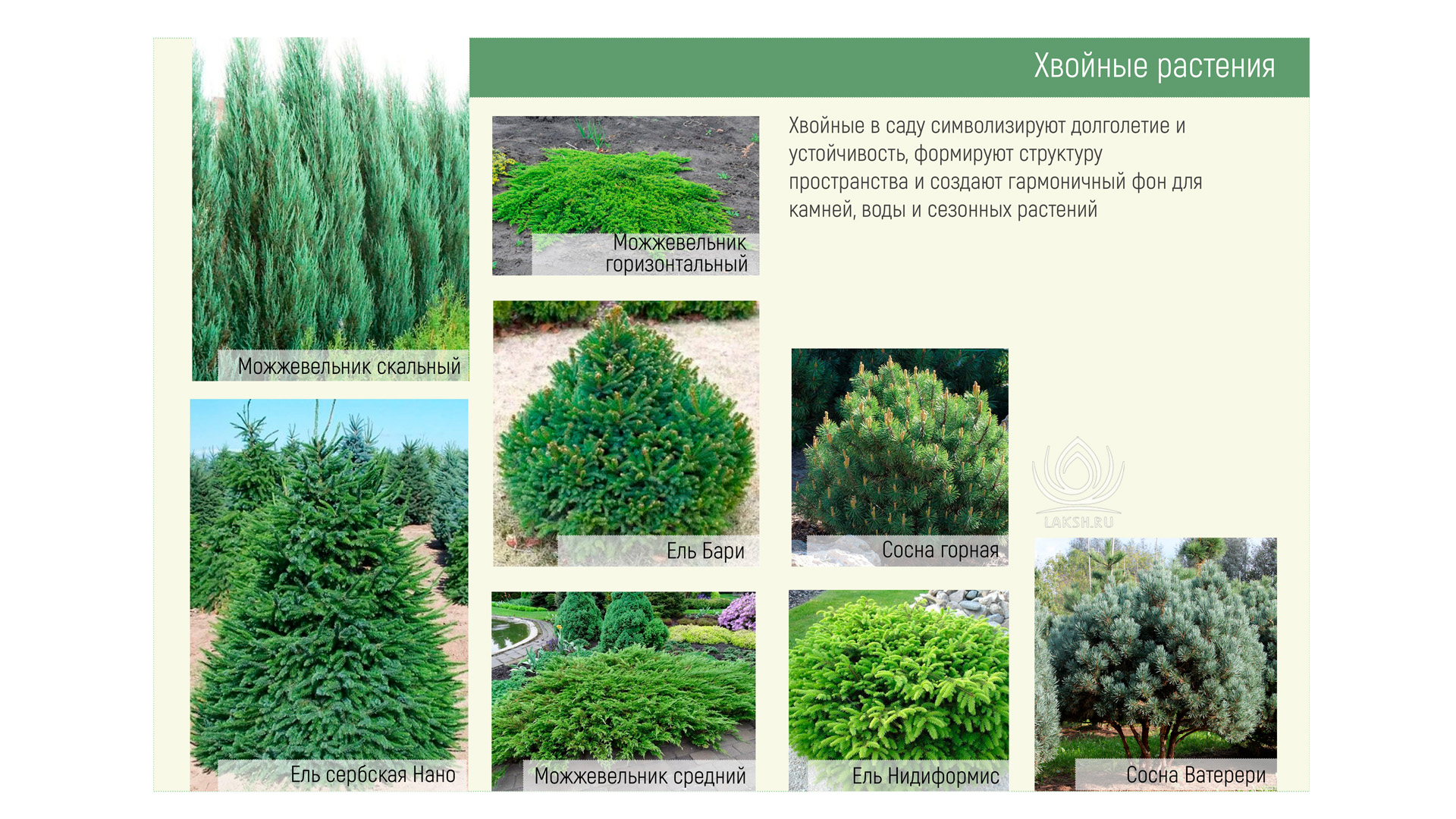 Изображение галереи 2