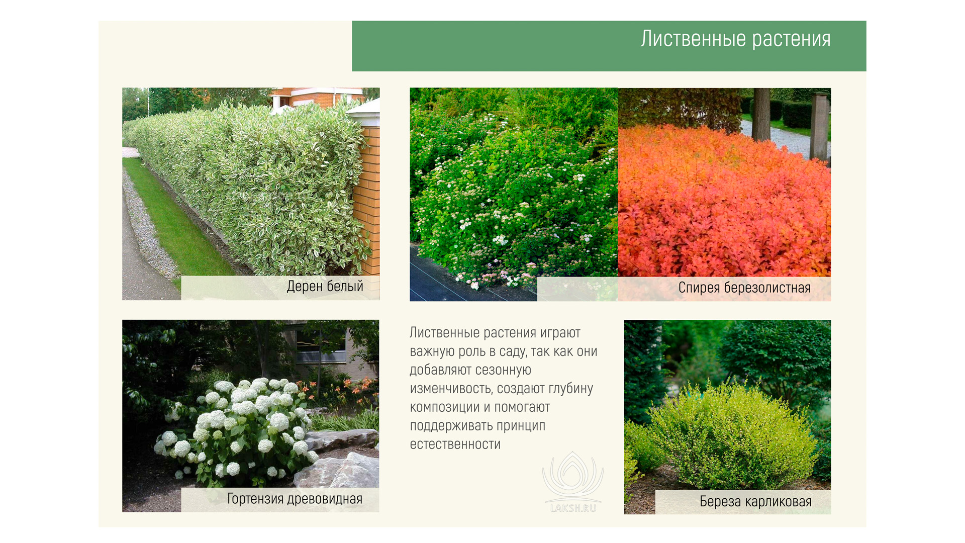 Изображение галереи 3