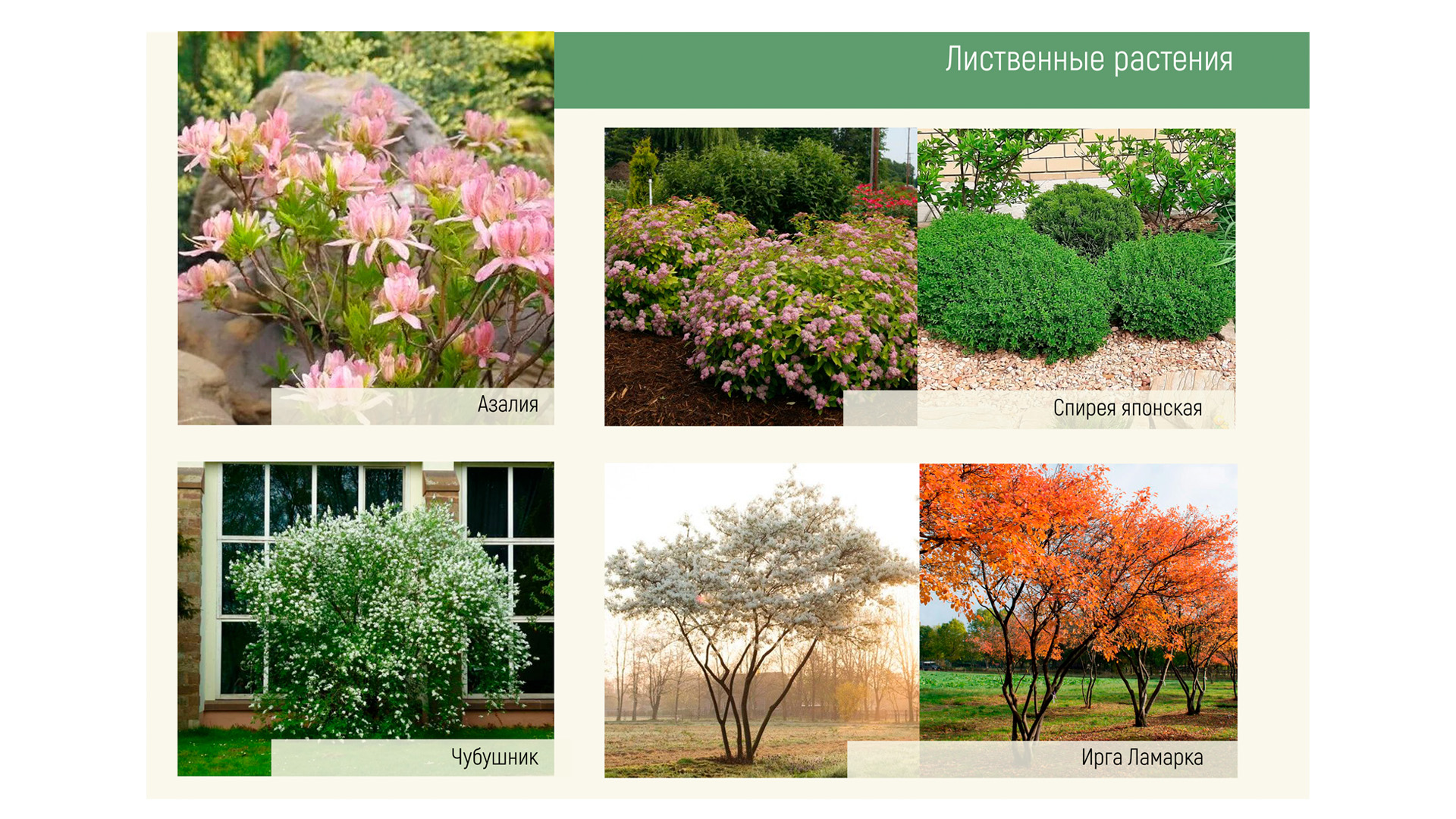 Изображение галереи 5